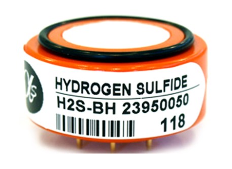 H2S-BH Gas H2S Hydrogen Sulphide Gas Sensors High Sensitivity 9G Weight